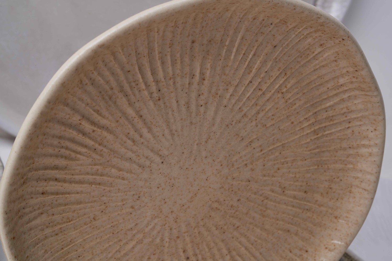 Locavore NXT Restaurant mushroom plate